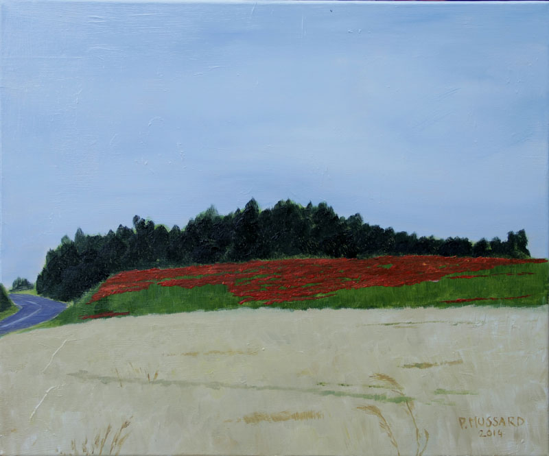 Coquelicots-Savigny
